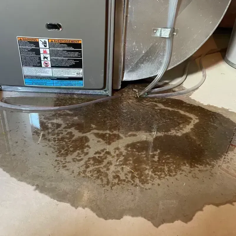 Appliance Leak Cleanup in Three Lakes, WA